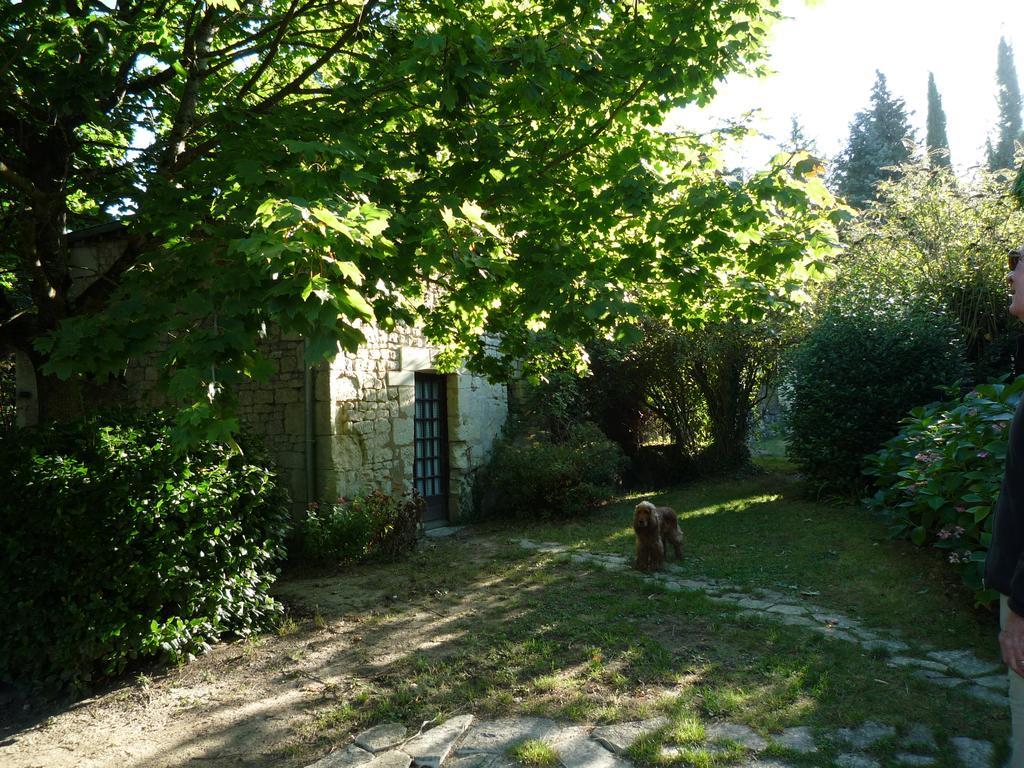 Bed and Breakfast Le Logis Du Peu Girard La Roche-Clermault Exterior foto