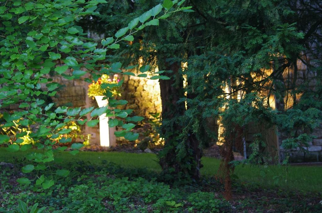 Bed and Breakfast Le Logis Du Peu Girard La Roche-Clermault Exterior foto
