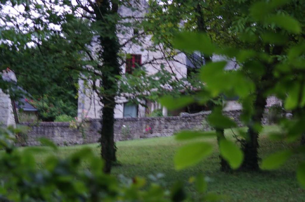 Bed and Breakfast Le Logis Du Peu Girard La Roche-Clermault Exterior foto